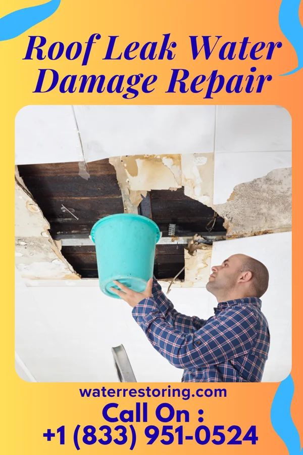 Roof Leak Water Damage Repair in Seven Valleys, PA