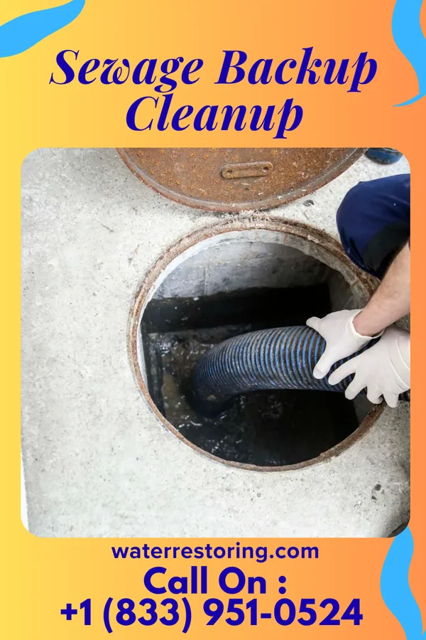 Sewage Backup Cleanup in Seven Valleys, PA