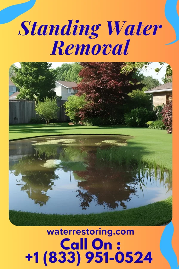 Standing Water Removal in Seven Valleys, PA